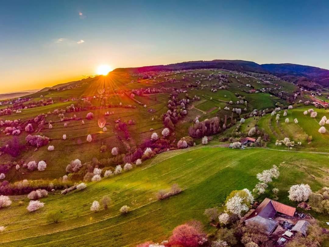 Penzión** Amálka Hriňová Exterior foto