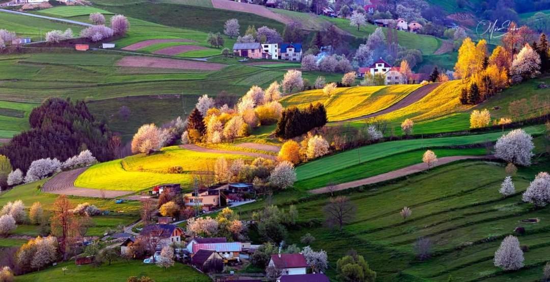 Penzión** Amálka Hriňová Exterior foto